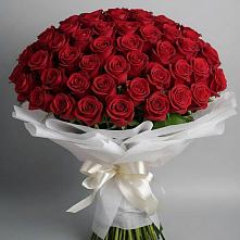 Букет 101 Красная роза Блэк Мэджик в Нижнедевицке