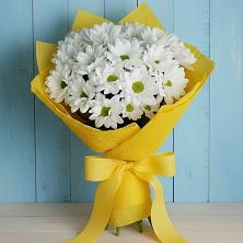 Букет цветов из:  Хризантемы в Нижнедевицке