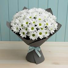 Букет цветов из:  Хризантемы #REPLACE_PRED# Нижнедевицке