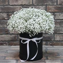 Цветочная композиция из Гипсофила в шляпной коробке в Нижнедевицке