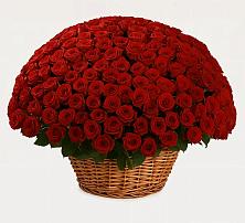 Премиум букет из: Розы в Нижнедевицке